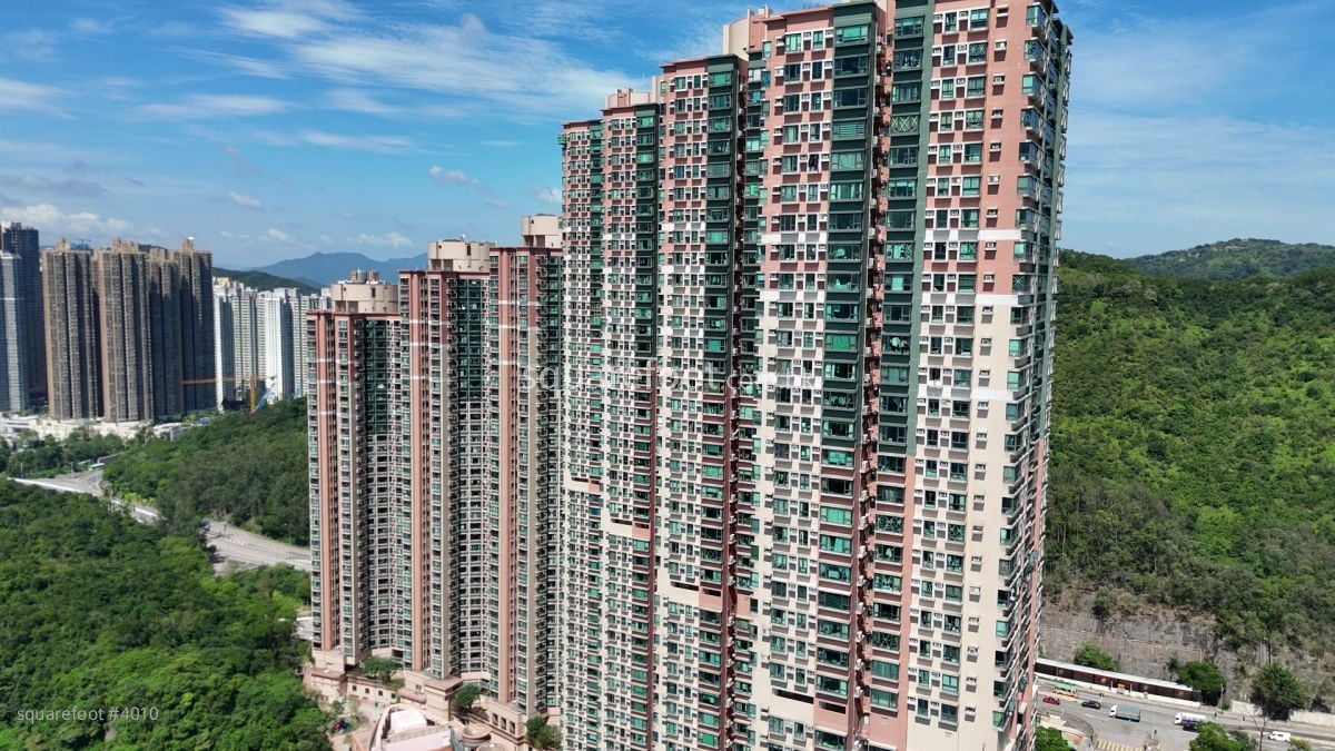 清水湾半岛 大厦 清水湾半岛 大厦