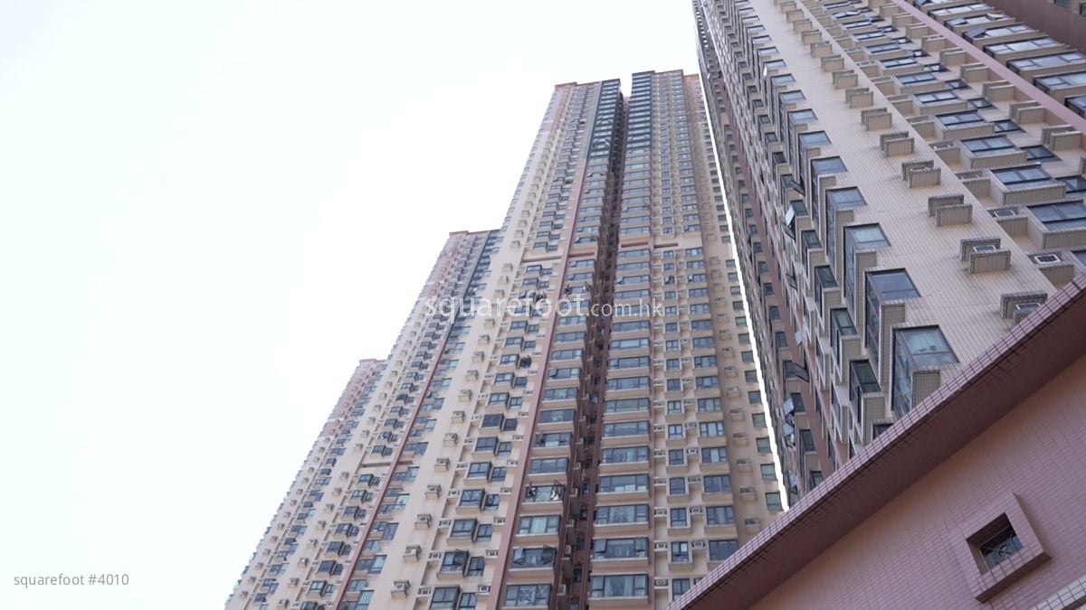 清水湾半岛 大厦 清水湾半岛 大厦