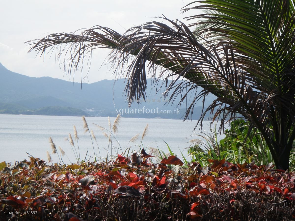 Island View Villa Rental 3 Bedrooms , 2 Bathrooms 1,794 ft²