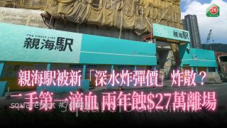 親海駅被新「深水炸彈價」炸散？二手第一滴血 兩年蝕$27萬離場