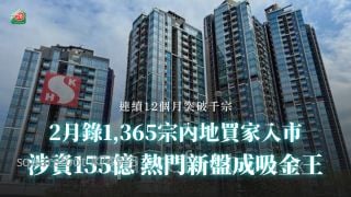 2月录1,365宗内地买家入市 涉资155亿 热门新盘成吸金王