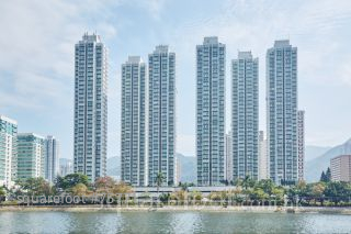 一手延續大盛景 樓市料破「5窮月」