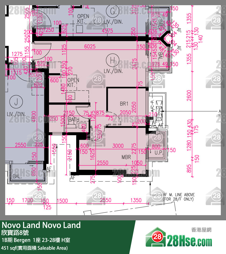 Novo Land, Flat H, 25/F, Bergen Tower 1 FloorPlan