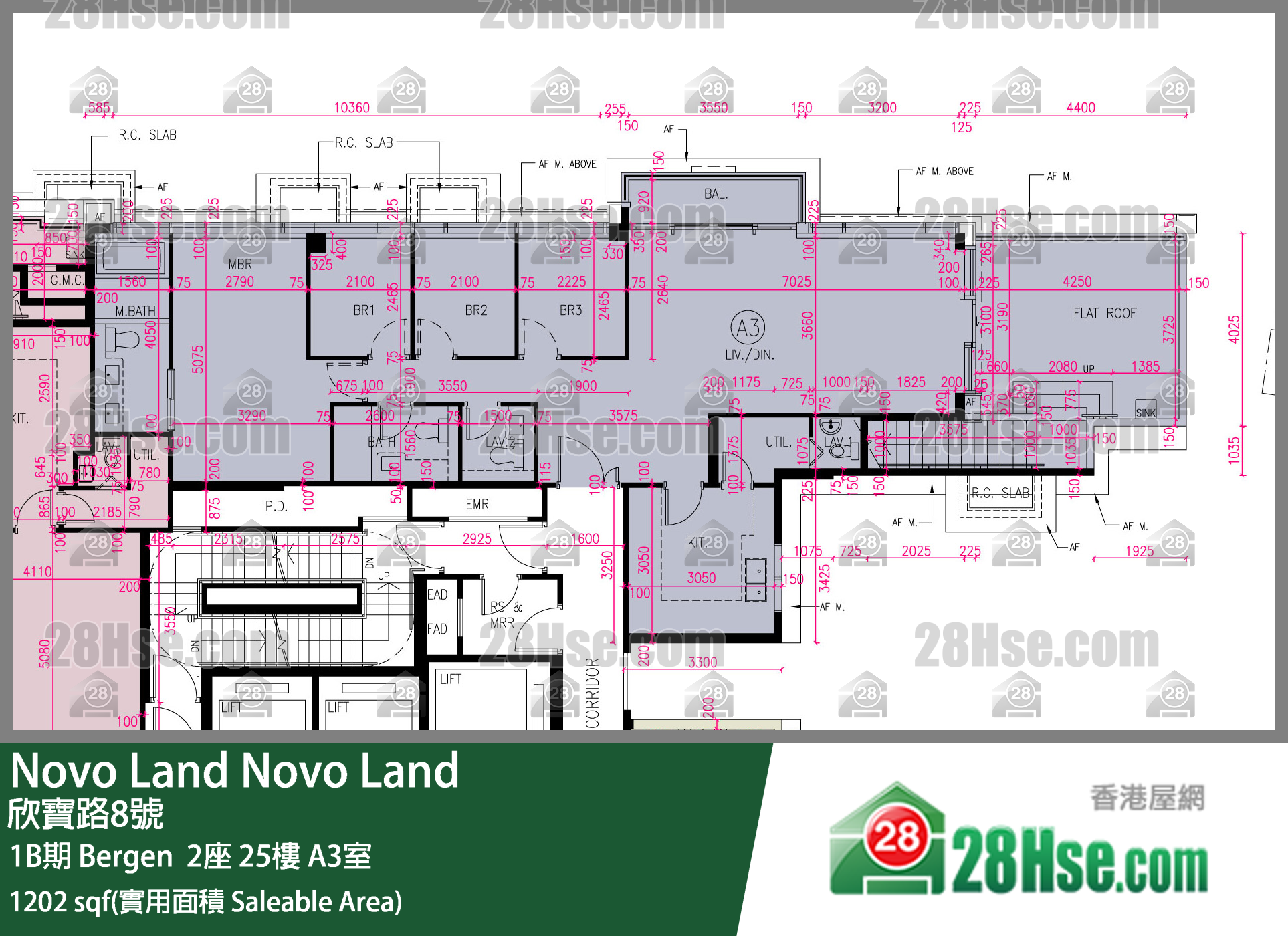 Novo Land,  Flat A3, 25/f, Bergen Tower 2, Phase 1b FloorPlan