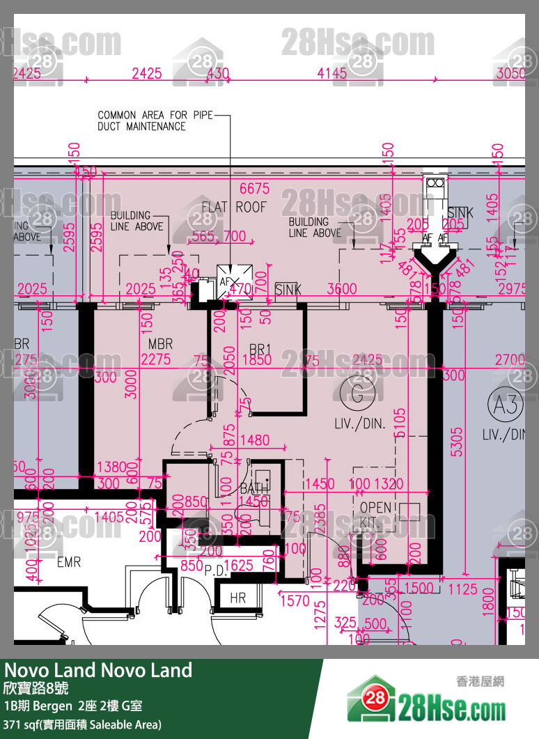 Novo Land, Flat G, 2/F, Bergen Tower 2 FloorPlan