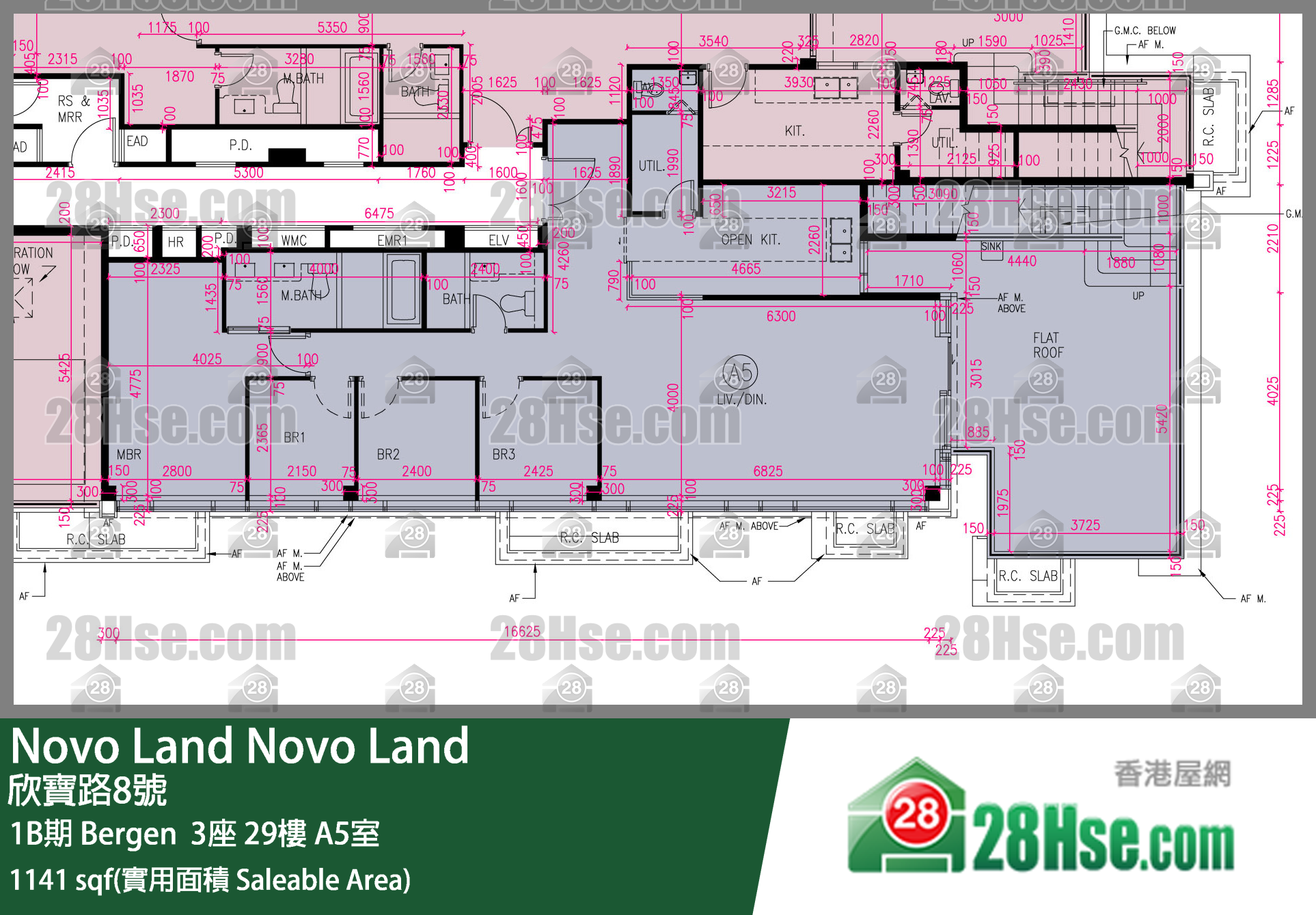 Novo Land,  Flat A5, 29/f, Bergen Tower 3, Phase 1b FloorPlan