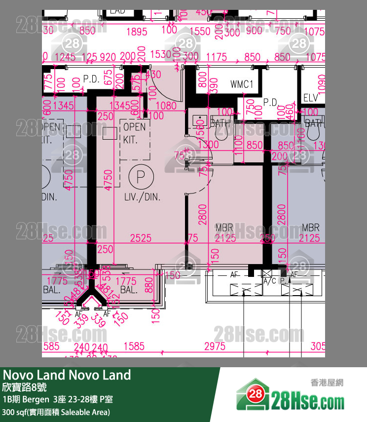 Novo Land, Flat P, 25/F, Bergen Tower 3 FloorPlan