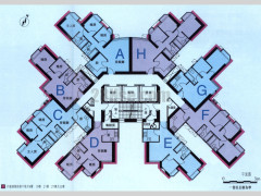 Marina Habitat TOWER 1 3/F - 43/F Floorplan 1